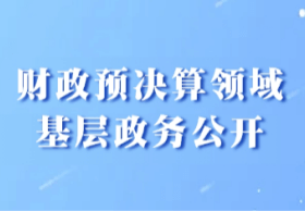 财政预决算领域