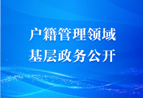 户籍管理领域