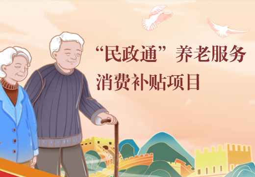 民政通”养老服务消费补贴项目
