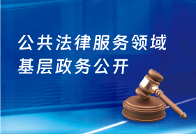 公共法律服务领域