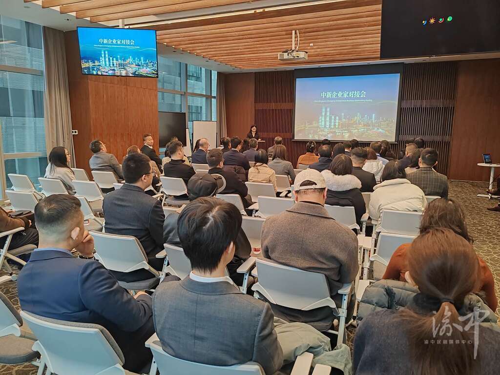 中新企业家对接会在渝中举行。.jpg