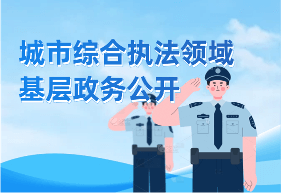 城市综合执法领域