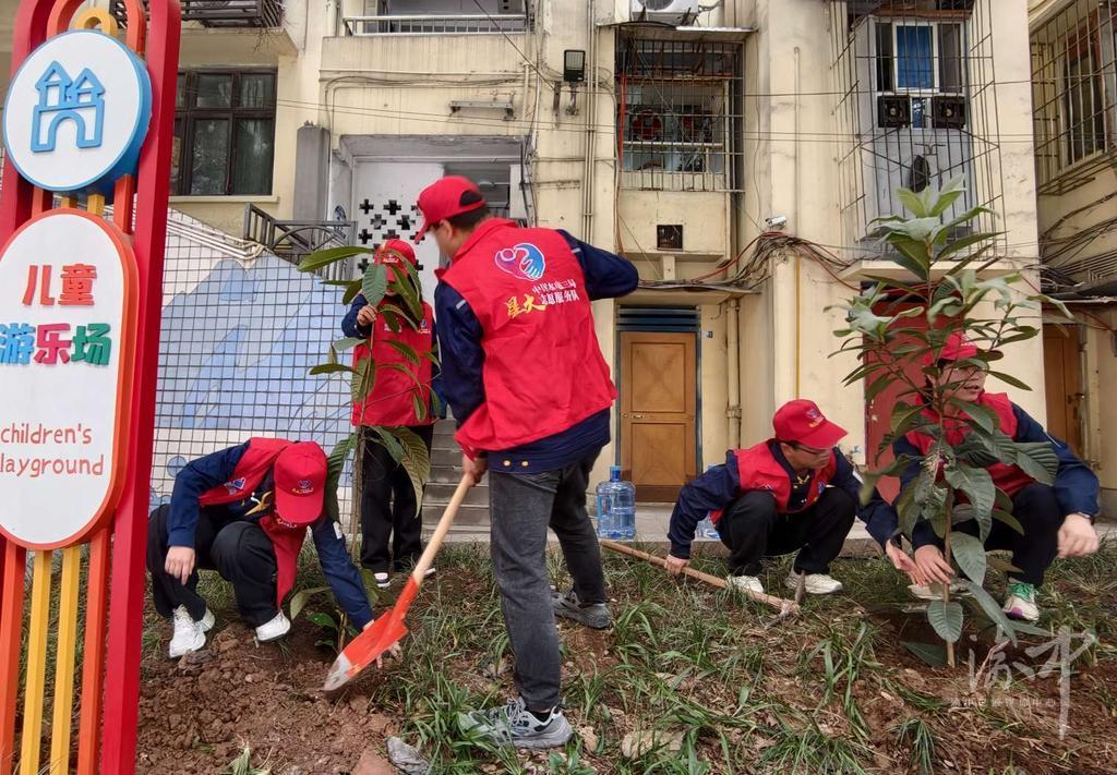 中山二路社区:植树添绿焕新颜 共建宜居幸福家.jpg