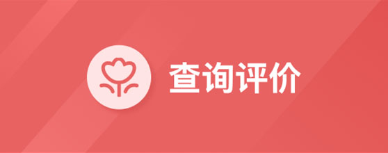 查询评价