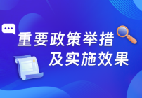重要政策举措及实施效果