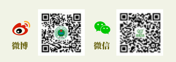 足球下注平台