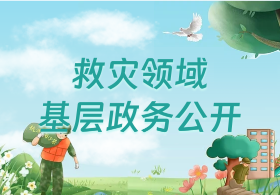 救灾领域