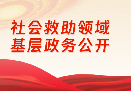 社会救助领域