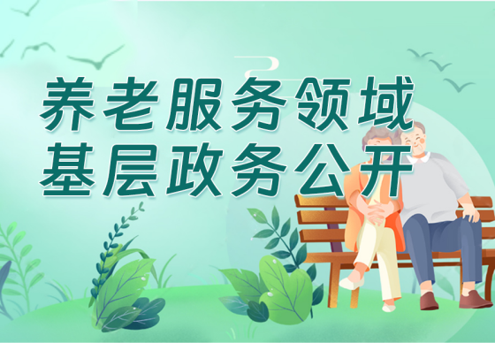 养老服务领域