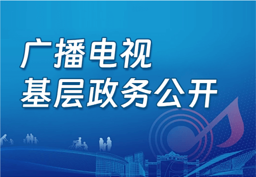 广播电视领域